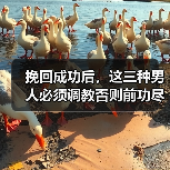 挽回成功后，这三种男人必须调教否则前功尽弃(图2)