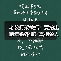 老公打架被抓，竟挖出两年婚外情？真相令人心碎！(图3)
