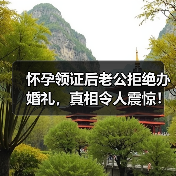 怀孕领证后老公拒绝办婚礼，真相令人震惊！