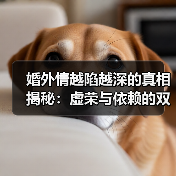 婚外情越陷越深的真相揭秘：虚荣与依赖的双重陷阱(图4)