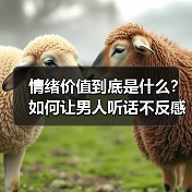 情绪价值到底是什么?如何让男人听话不反感(图4) 情绪价值到底是什么?如何让男人听话不反感(图4)