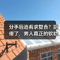 分手后追着求复合?别傻了,男人真正的软肋是什么(图4) 分手后追着求复合?别傻了,男人真正的软肋是什么(图4)