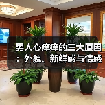 男人心痒痒的三大原因:外貌、新鲜感与情感疏离(图4) 男人心痒痒的三大原因:外貌、新鲜感与情感疏离(图4)