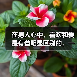 在男人心中，喜欢和爱是有着明显区别的，一定要懂得分辨(图4)
