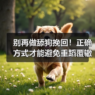 别再做舔狗挽回!正确方式才能避免重蹈覆辙(图2) 别再做舔狗挽回!正确方式才能避免重蹈覆辙(图2)