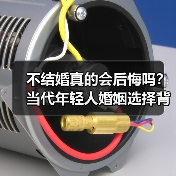 不结婚真的会后悔吗?当代年轻人婚姻选择背后的真相(图3) 不结婚真的会后悔吗?当代年轻人婚姻选择背后的真相(图3)