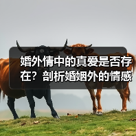 婚外情中的真爱是否存在?剖析婚姻外的情感真相(图4) 婚外情中的真爱是否存在?剖析婚姻外的情感真相(图4)