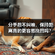 分手后不纠缠，保持距离真的更容易挽回吗？(图1)