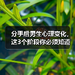 分手后男生心理变化，这3个阶段你必须知道(图4)