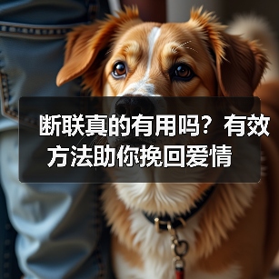 断联真的有用吗?有效方法助你挽回爱情(图3) 断联真的有用吗?有效方法助你挽回爱情(图3)