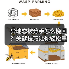 异地恋被分手怎么挽回？关键技巧让你轻松重建感情(图1)