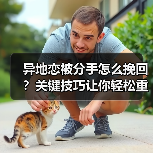 异地恋被分手怎么挽回？关键技巧让你轻松重建感情(图4)