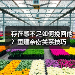 存在感不足如何挽回他？重建亲密关系技巧(图4)