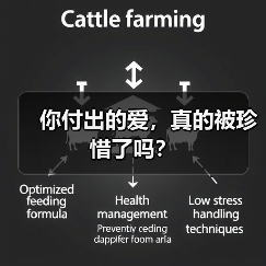 你付出的爱，真的被珍惜了吗？(图1)