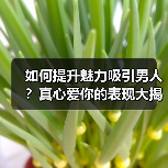 如何提升魅力吸引男人？真心爱你的表现大揭秘(图1)