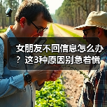 女朋友不回信息怎么办?这3种原因别急着慌(图3) 女朋友不回信息怎么办?这3种原因别急着慌(图3)