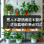 男人不愿结婚是不爱吗?这些真相你未必知道(图1) 男人不愿结婚是不爱吗?这些真相你未必知道(图1)
