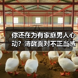 你还在为有家庭男人心动?清醒面对不正当感情的后果(图4) 你还在为有家庭男人心动?清醒面对不正当感情的后果(图4)