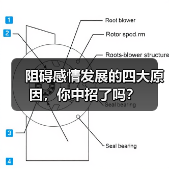 阻碍感情发展的四大原因,你中招了吗?(图3) 阻碍感情发展的四大原因,你中招了吗?(图3)