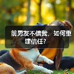 前男友不信我,如何重建信任?(图3) 前男友不信我,如何重建信任?(图3)