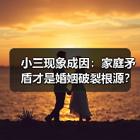 小三现象成因：家庭矛盾才是婚姻破裂根源？(图4)