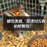 被伤害后,原谅对方真的明智吗?(图1) 被伤害后,原谅对方真的明智吗?(图1)