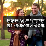 原配败给小三的真正原因?情绪价值才是关键(图4) 原配败给小三的真正原因?情绪价值才是关键(图4)