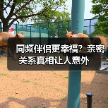同频伴侣更幸福?亲密关系真相让人意外(图1) 同频伴侣更幸福?亲密关系真相让人意外(图1)