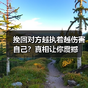 挽回对方越执着越伤害自己？真相让你震撼