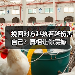 挽回对方越执着越伤害自己？真相让你震撼(图4)