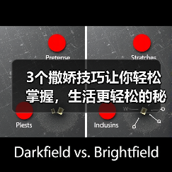 3个撒娇技巧让你轻松掌握,生活更轻松的秘密(图4) 3个撒娇技巧让你轻松掌握,生活更轻松的秘密(图4)