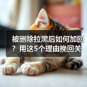 被删除拉黑后如何加回?用这5个理由挽回关系(图2) 被删除拉黑后如何加回?用这5个理由挽回关系(图2)