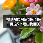 被删除拉黑后如何加回?用这5个理由挽回关系(图3) 被删除拉黑后如何加回?用这5个理由挽回关系(图3)