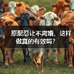 原配忍让不离婚，这样做真的有效吗？ - 辰飞雨恋来情感网
