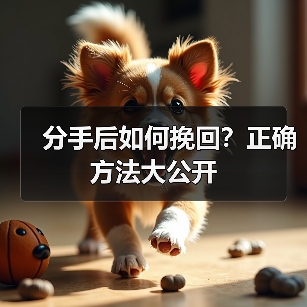 分手后如何挽回?正确方法大公开(图3) 分手后如何挽回?正确方法大公开(图3)