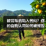 被背叛后陷入苦闷？你的自我认同如何被摧毁？(图2)