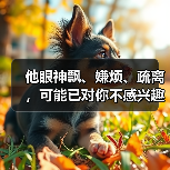 他眼神飘、嫌烦、疏离，可能已对你不感兴趣！(图2)