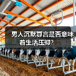 男人沉默寡言是否意味着生活压抑?(图3) 男人沉默寡言是否意味着生活压抑?(图3)