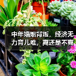 中年婚姻背叛，经济无力育儿难，离还是不离？如何抉择？(图1)