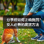 分手后如何正确挽回？女人必看的高效方法(图1)
