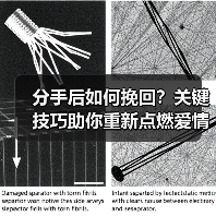 分手后如何挽回？关键技巧助你重新点燃爱情(图2)