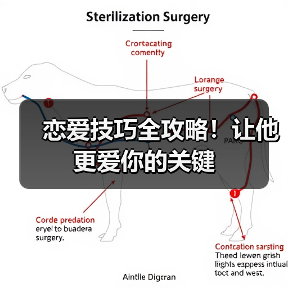 恋爱技巧全攻略!让他更爱你的关键(图2) 恋爱技巧全攻略!让他更爱你的关键(图2)