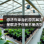 你还在单身的原因其实是取决于你是不是遇到了对的人(图3)
