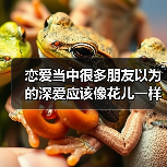 恋爱当中很多朋友以为的深爱应该像花儿一样一直很甜蜜吗?(图3) 恋爱当中很多朋友以为的深爱应该像花儿一样一直很甜蜜吗?(图3)