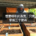 想要吸引优质男,只需掌握三个要点(图4) 想要吸引优质男,只需掌握三个要点(图4)