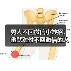 男人不回微信小妙招,幽默对付不回微信的人(图1) 男人不回微信小妙招,幽默对付不回微信的人(图1)