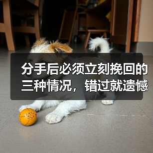 分手后必须立刻挽回的三种情况,错过就遗憾!(图3) 分手后必须立刻挽回的三种情况,错过就遗憾!(图3)