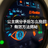 公主病分手后怎么挽回？有效方法揭秘 - 辰飞雨恋来情感网