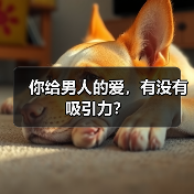 你给男人的爱,有没有吸引力?(图3) 你给男人的爱,有没有吸引力?(图3)