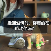 挽回爱情时，你真的在感动他吗？(图2)